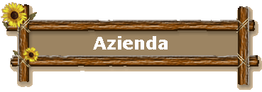 Azienda